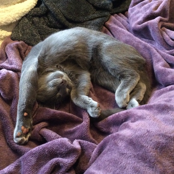 Meet your Posher, Andrea 🕸🥀🕸 - Picture 7 of 11